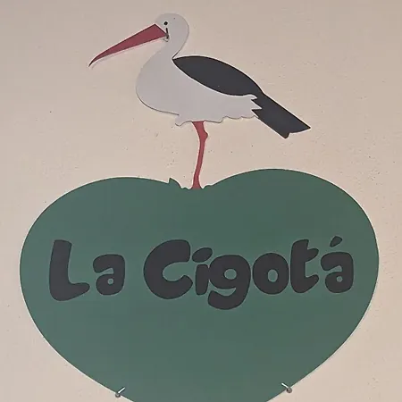 Vila La Cigota - With Swimming Pool For 8 People *
