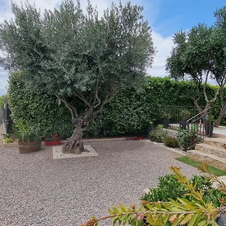 Vila La Cigota - With Swimming Pool For 8 People
